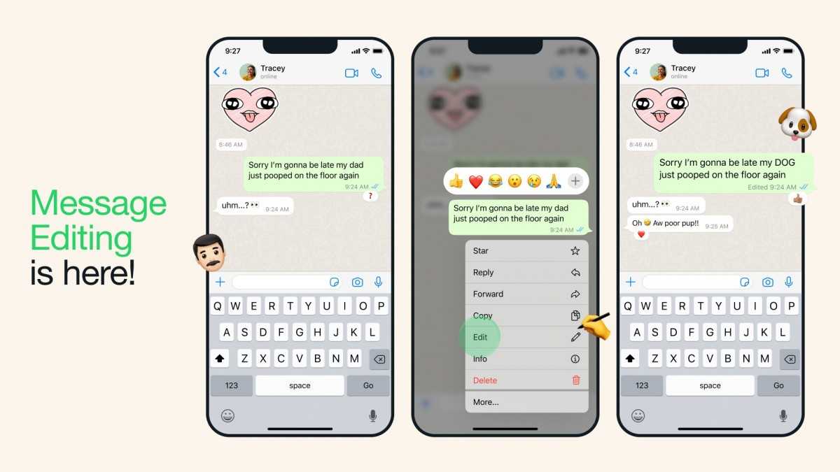 WhatsApp* has an edit feature for messages