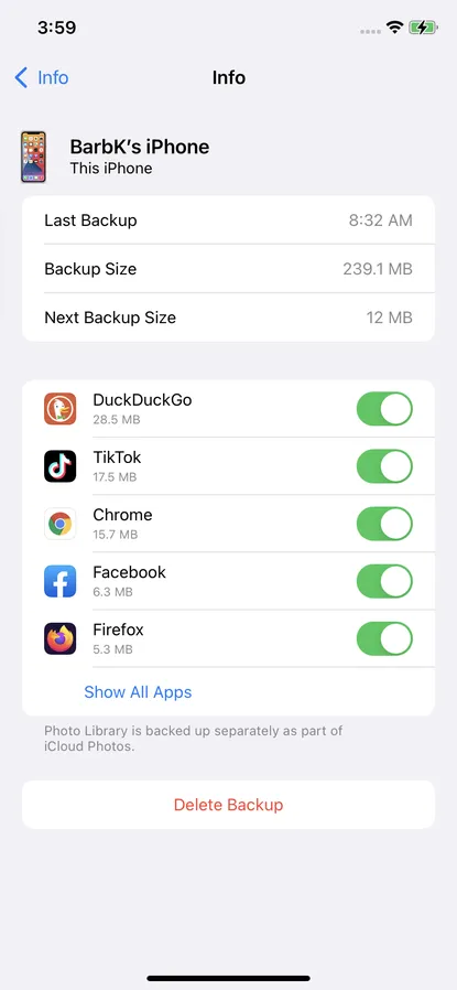 iPhone: how to backup with or without iCloud | Image 12 iPhone