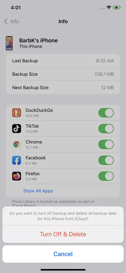 iPhone: how to backup with or without iCloud | Image 13 iPhone