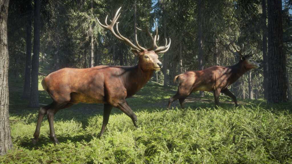 The Hunter: Call of the Wild will be free for one week | Image 1 The Hunter: Call of the Wild will be free for one week (the hunter call of the wild 1024x576 1)
