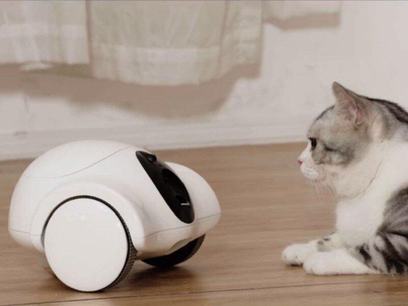 Guliguli Hiibo is a mini robot that takes care of pets