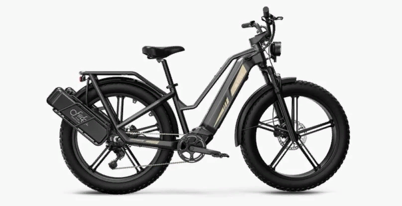 Fiido Titan electric bike officially unveiled | Image 1 Fiido Titan electric bike officially unveiled (image 20)