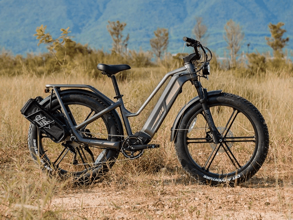 Fiido Titan electric bike officially unveiled