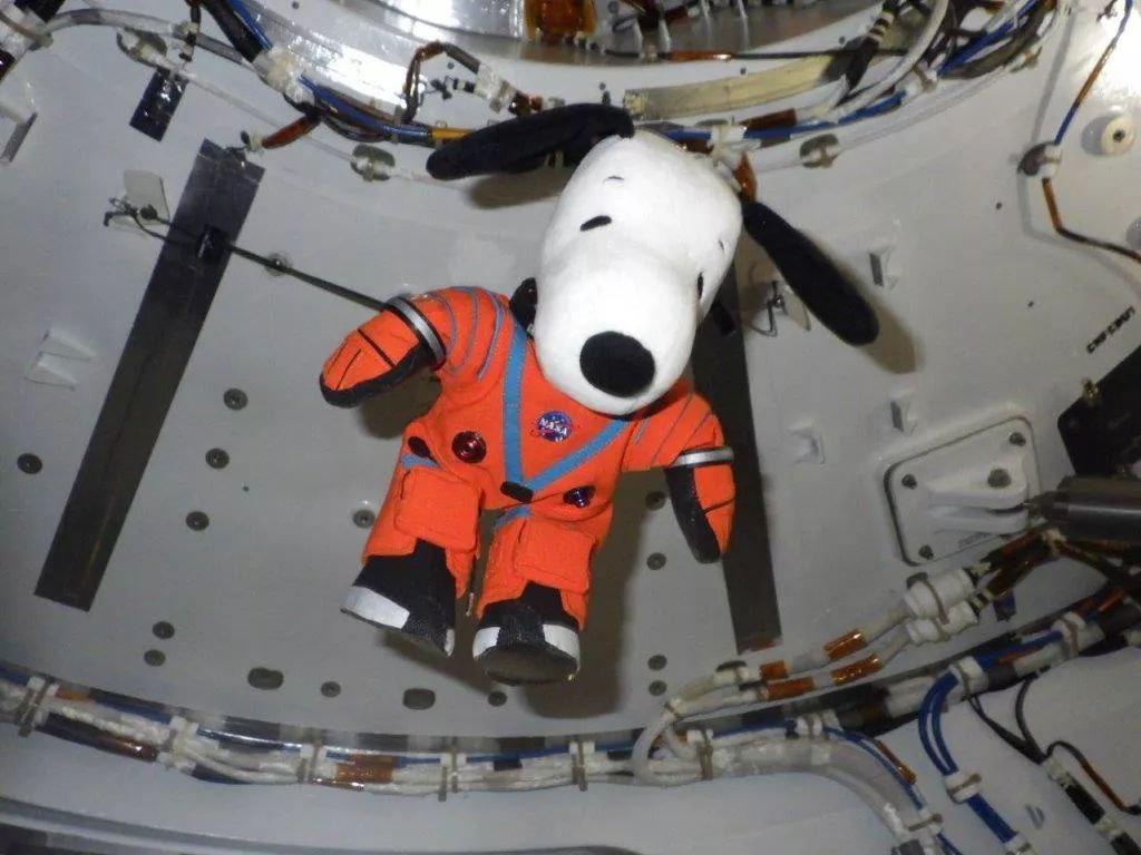 NASA launches “space Netflix,” free, ad-free and subscription-free