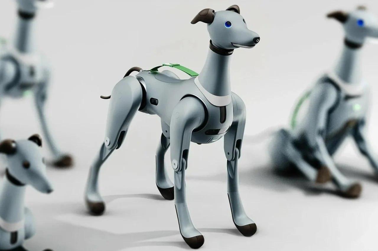A robot dog for astronauts has been unveiled – Laika