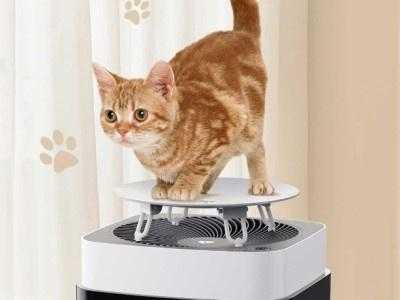 Xiaomi has revealed an air purifier with a cat stand – Beon X3 Pet Air Purifier