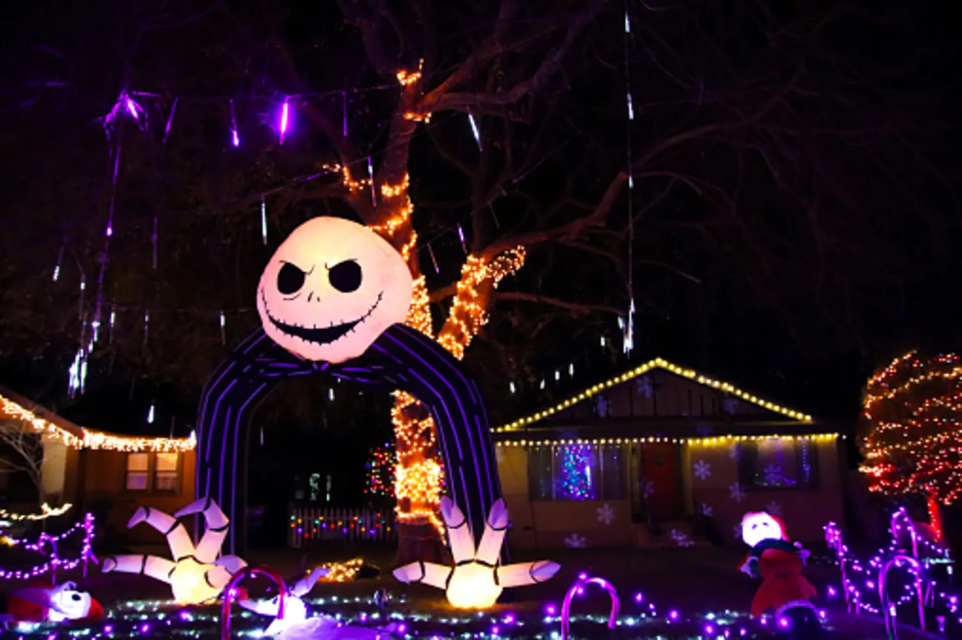 Tim Burton is only afraid of one thing: artificial intelligence