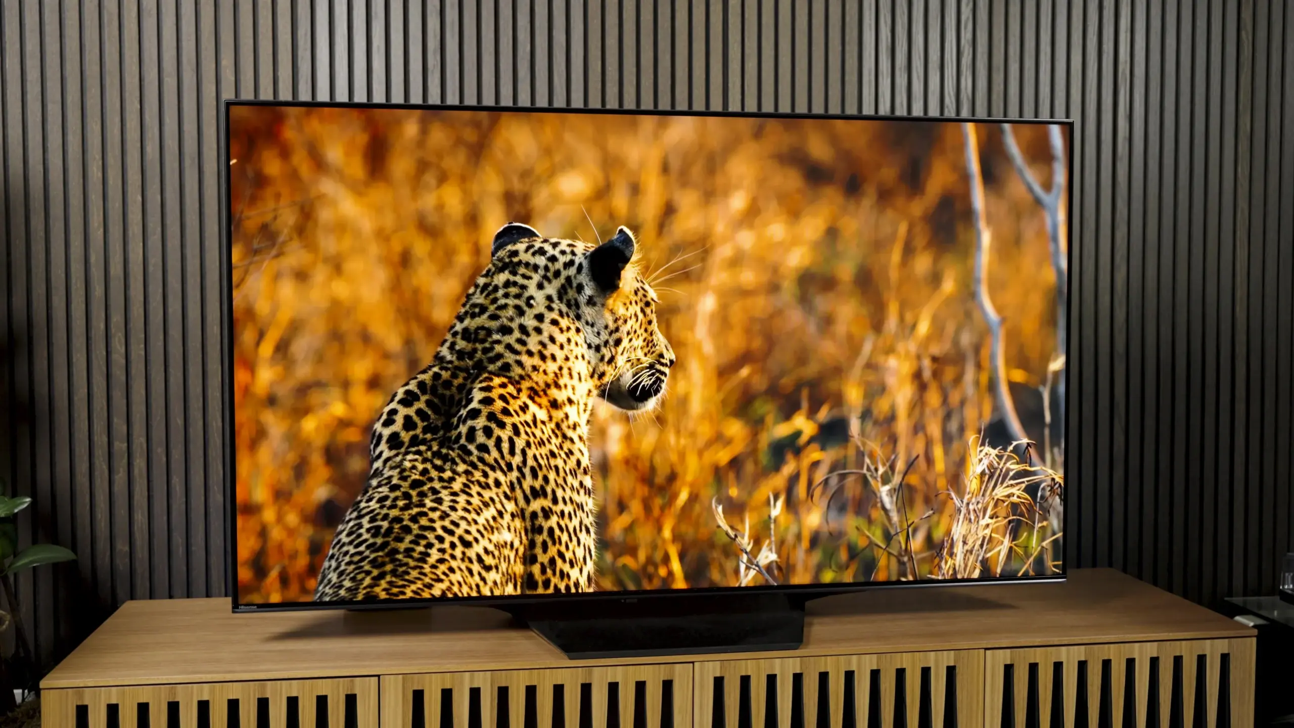 Top 10 Best TVs of 2024. Part 2 | Image 5 TV