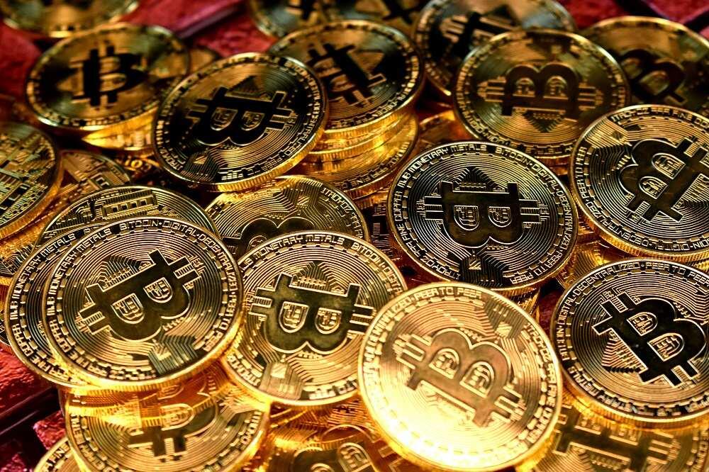 Bitcoin hits record high of ,000 amid Trump’s election victory