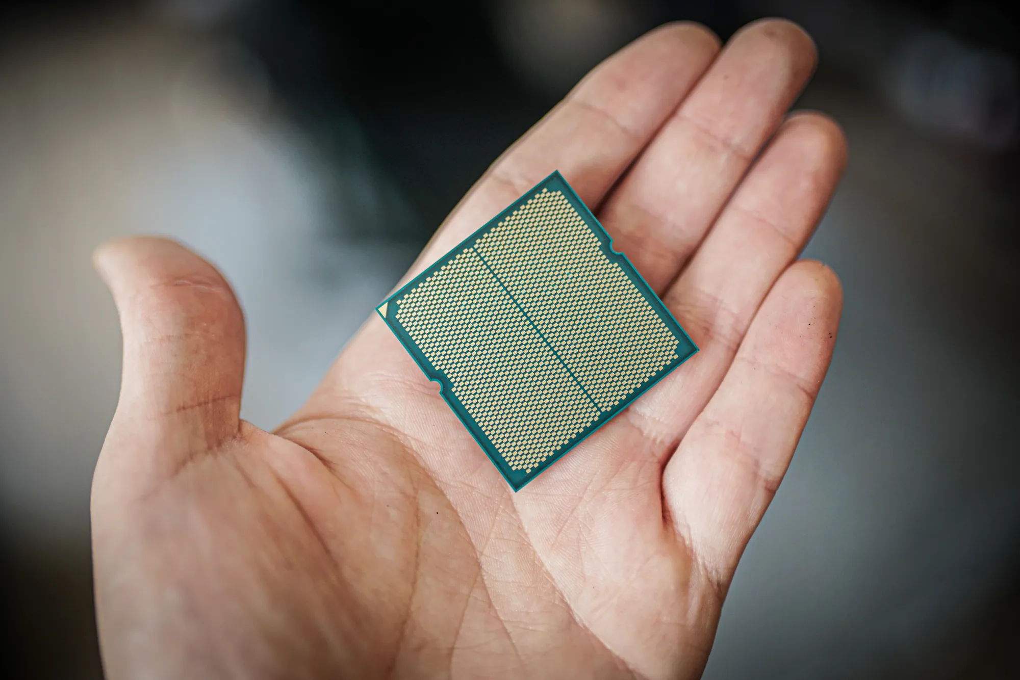 Top 12 best processors for work and play in 2024. Part 1 | Image 4 processor