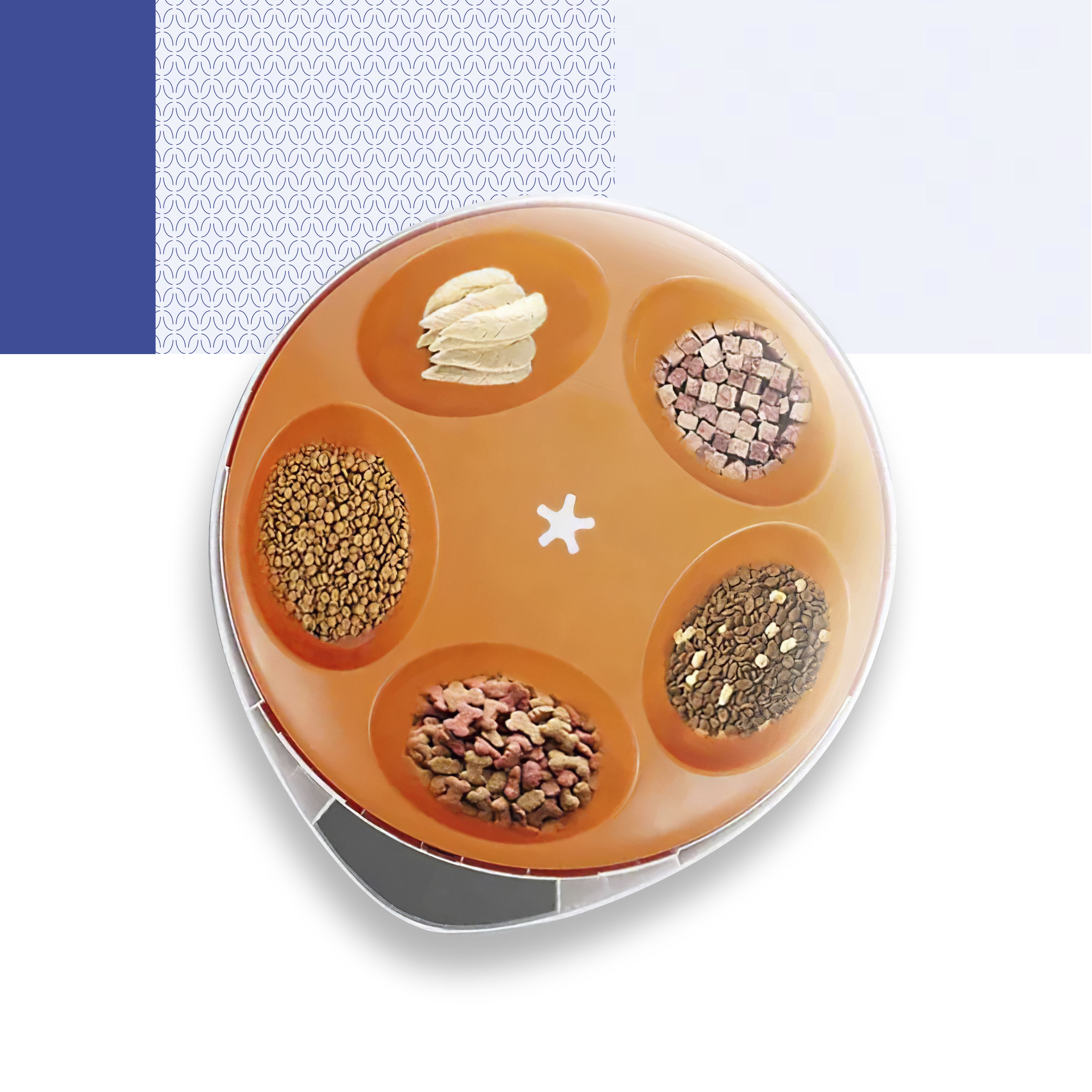 Planeta Laika launched Russia’s first cooled smart pet feeder