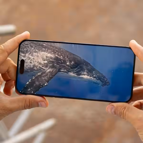 apple still envisions a bezel free iphone but display and design issues persist