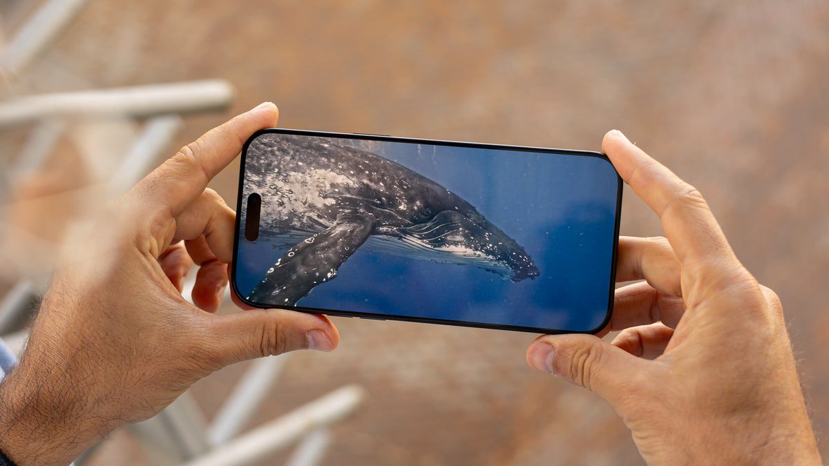 Apple still plans to release a bezel-less iPhone, but display and design issues persist
