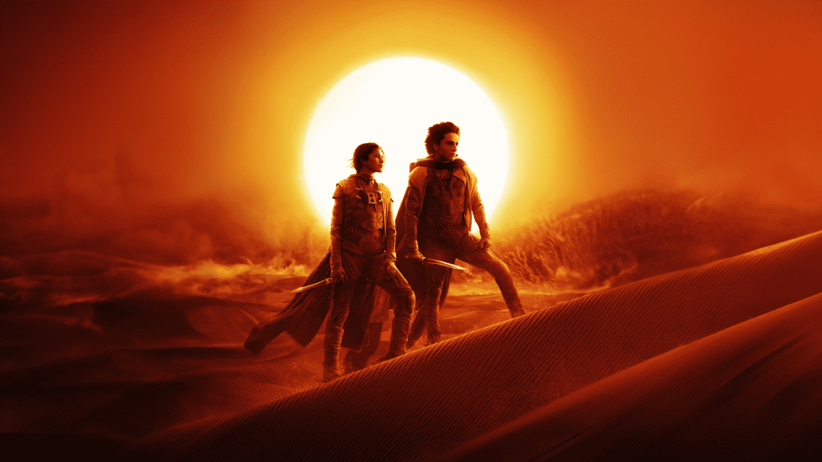 The Best Movies of 2024: From Substance to Puzzle | Image 3 movie