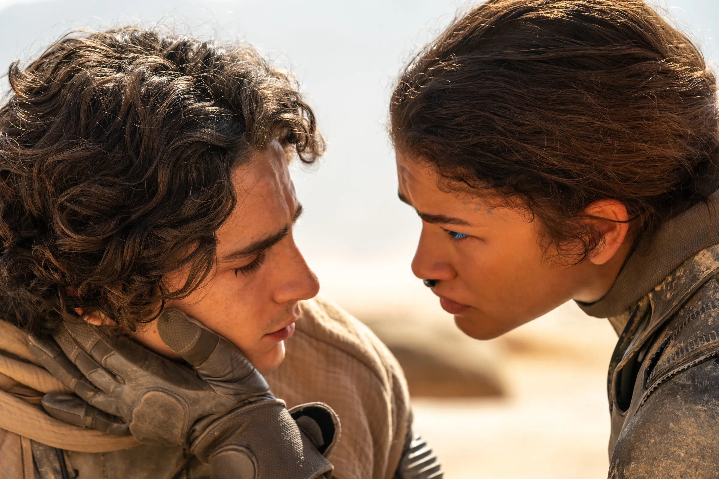 The best movies of 2024: from Substance to Puzzle