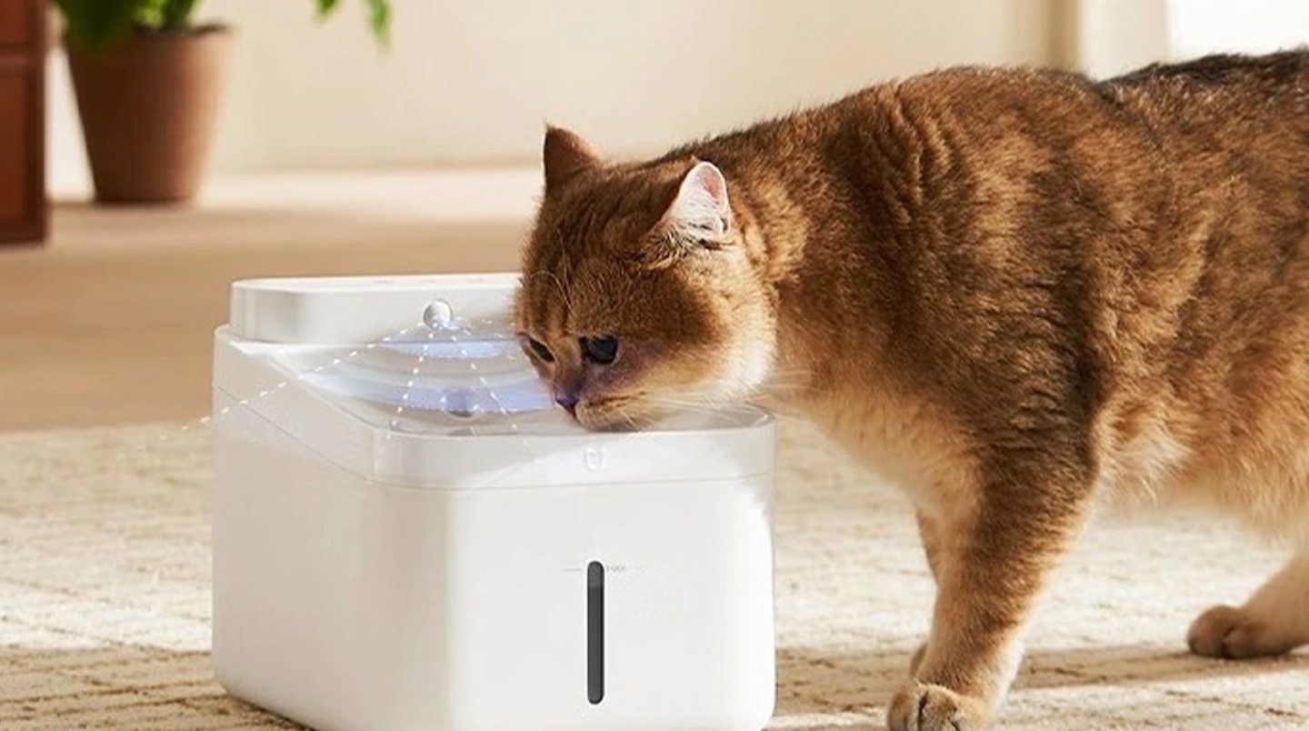Xiaomi has launched a pet drinker with 100-day battery life