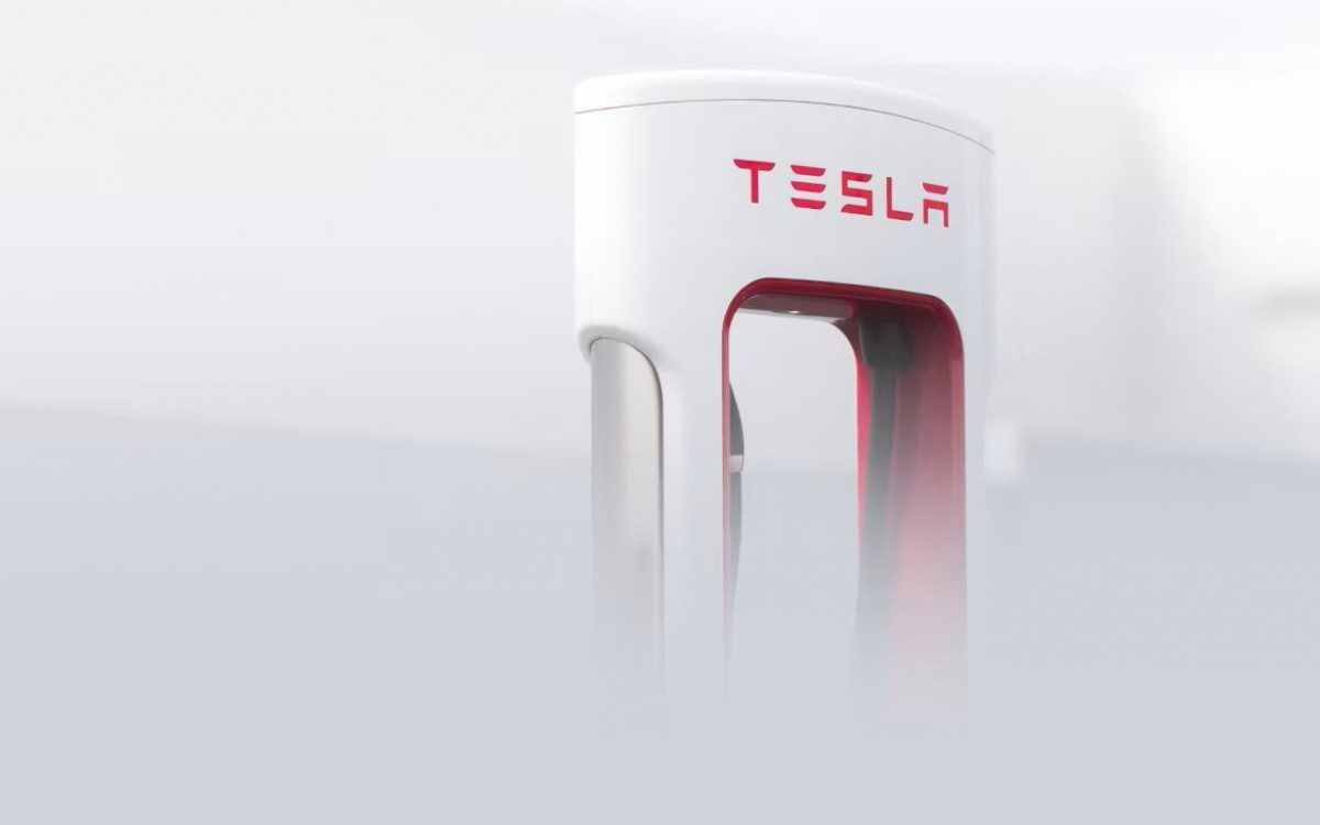 Tesla reported a significant drop in profits for the fourth quarter of 2024