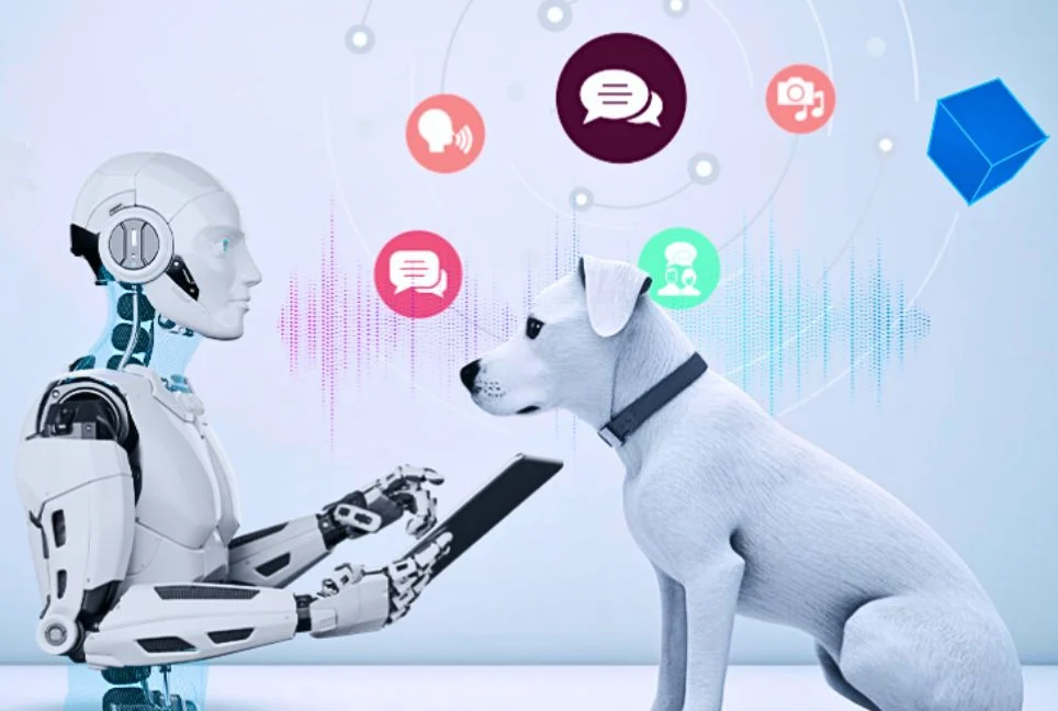 AI