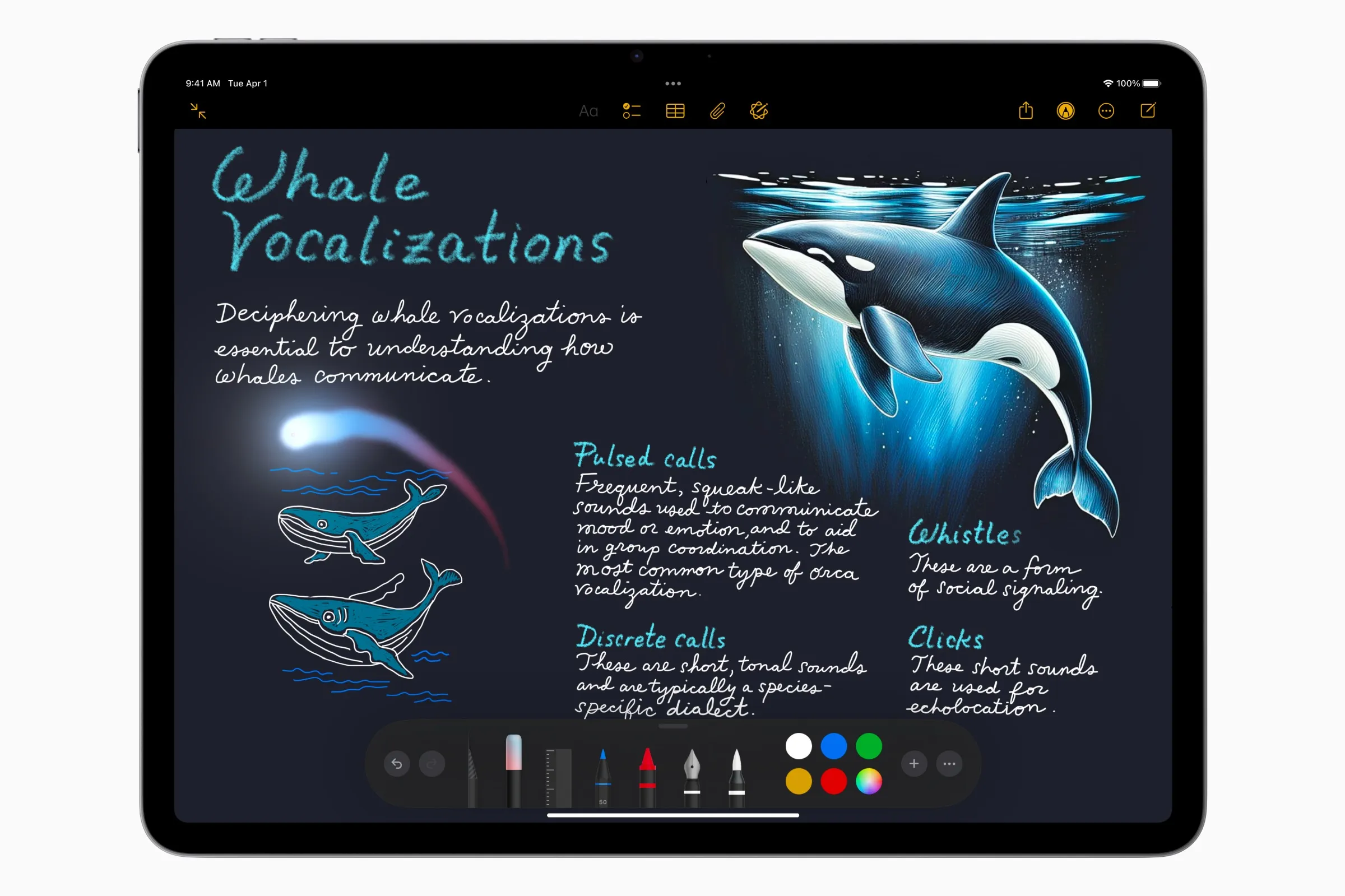 Apple iPad (2025) VS iPad Air (2025): which to choose in the age of AI? | Image 6 Apple