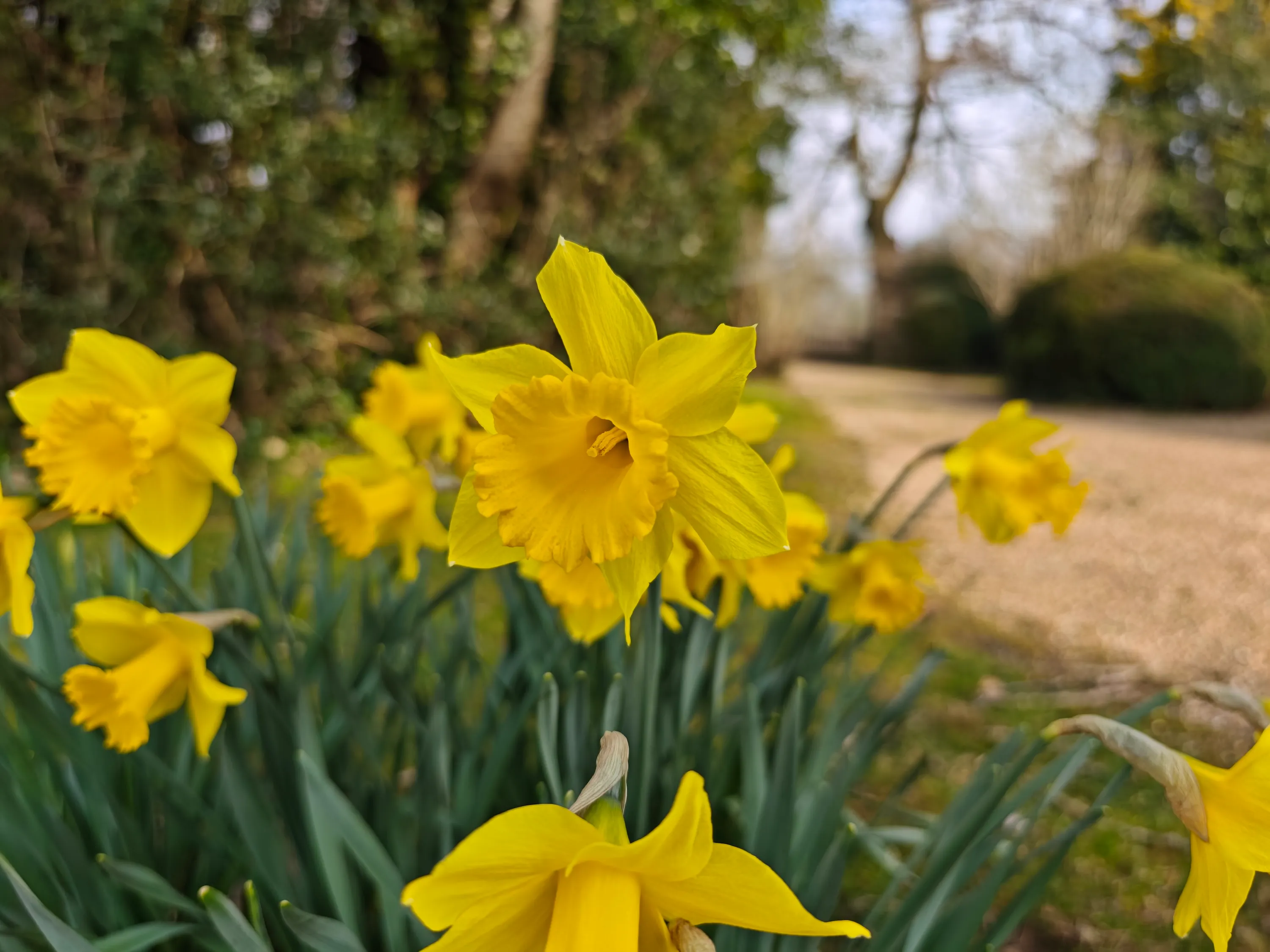 Xiaomi 15 Ultra and Samsung Galaxy S25 Ultra: camera comparison | Image 5 Xiaomi 15 Ultra and Samsung Galaxy S25 Ultra: camera comparison (xiaomi 15 ultra daff)