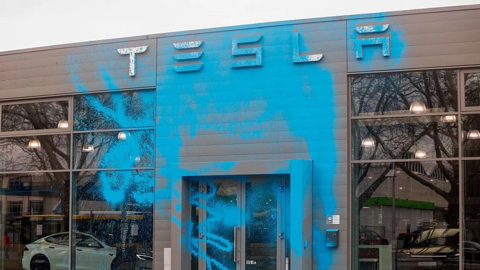 Tesla sales plummet amid political scandal surrounding Ilon Musk | Image 1 Tesla sales plummet amid political scandal surrounding Ilon Musk (71a4be60 0fd8 11f0 94e9 65dc0da473ff.jpg 2)