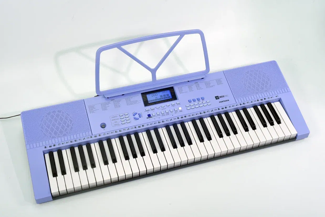 A new brand of musical instruments has appeared in Russia – MusicHall