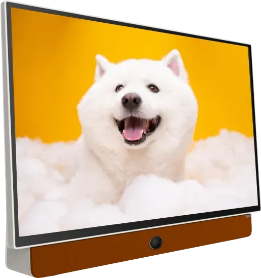 Skyworth launches portable TV sales in Russia