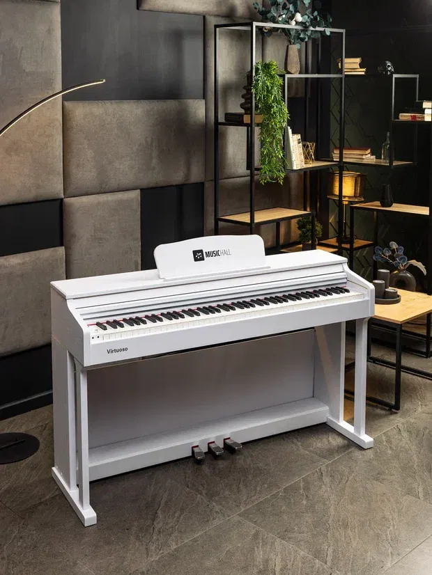 Russia has a new brand of musical instruments - MusicHall | Image 4 Russia has a new brand of musical instruments - MusicHall (virtuoso)