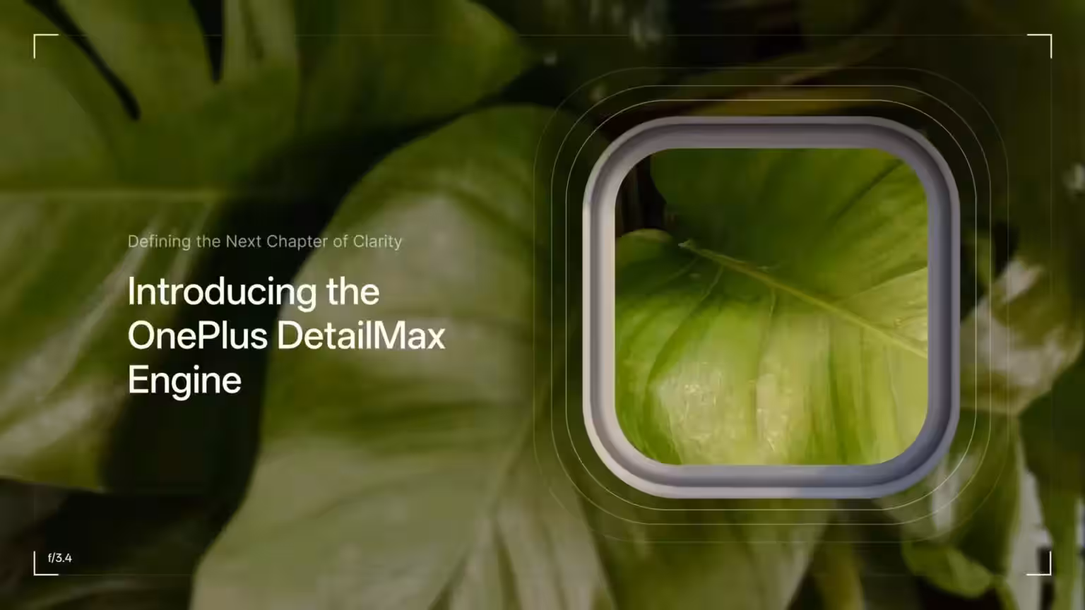 OnePlus ends collaboration with Hasselblad 3 oneplus detailmax engine 1536w 864h.jpg