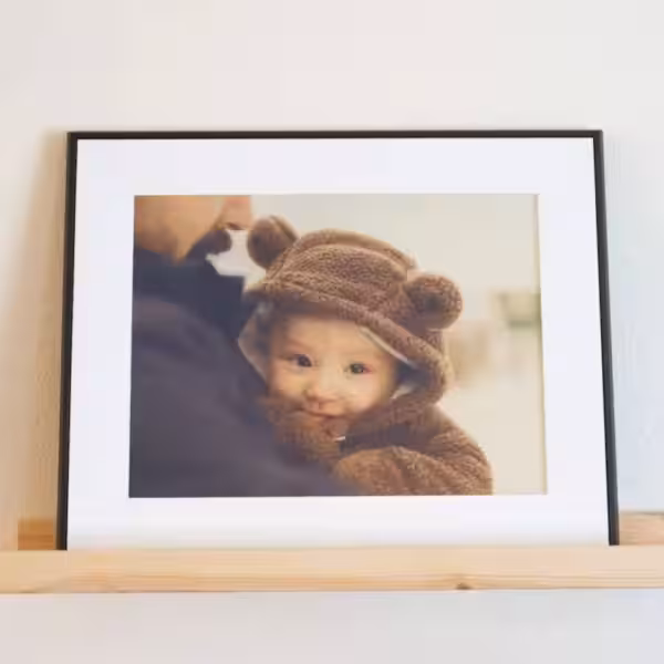 qirtfmwy8hv9b8fz1hamrawcq1fvbsrs84w7cwv 1200x675