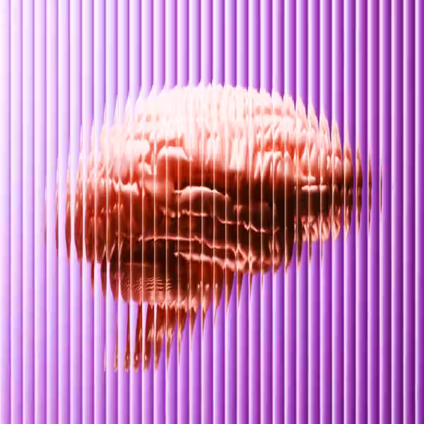 Nature Neuroscience study reveals why the brain loses focus after a sleepless night