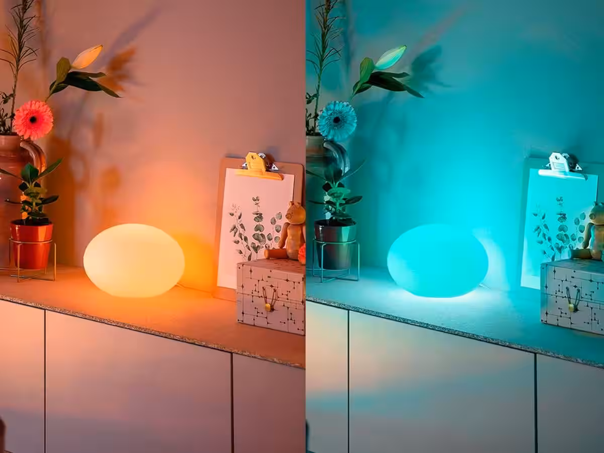 philips hue flourish 2026 upgraded version
